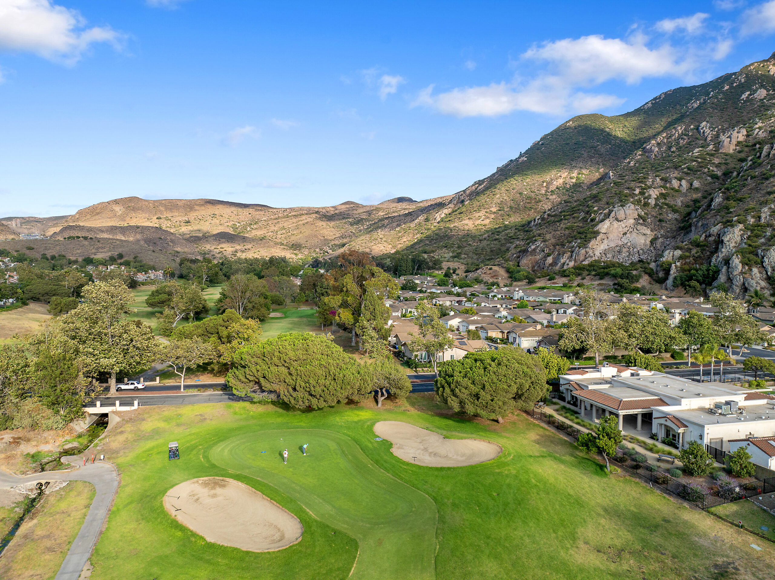 Welcome to the Grove